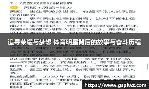 bsports登录入口