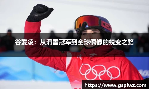 bsports登录入口