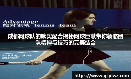 bsports官网入口