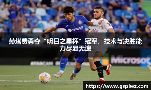 Bsports网页版