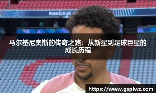 Bsports网页版