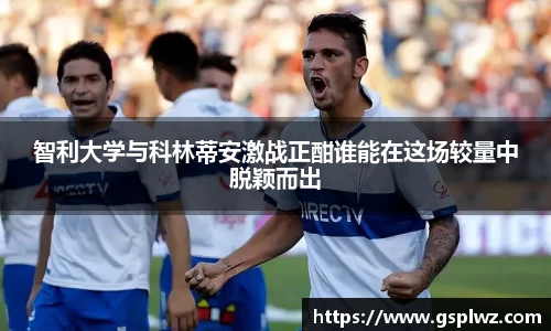 bsports登录入口