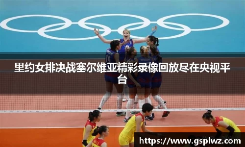 bsports登录入口