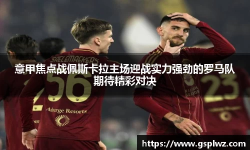 bsports官网入口