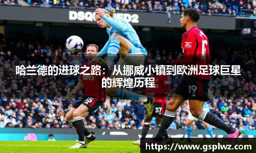 Bsports网页版