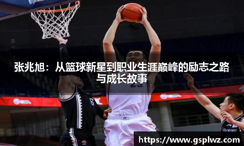 Bsports网页版
