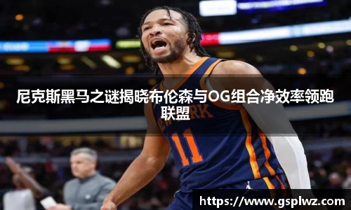 bsports官网入口