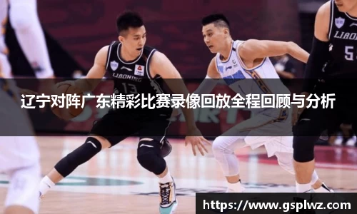 bsports官网入口