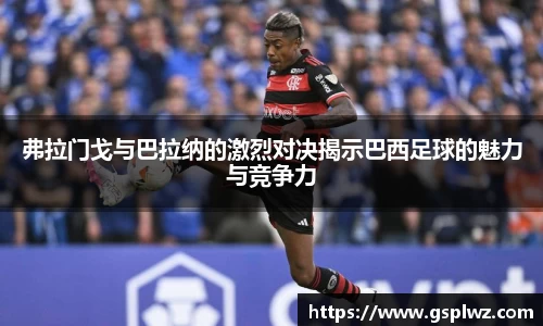 bsports登录入口
