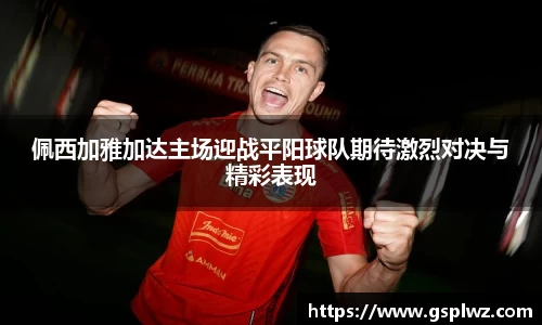 bsports官网入口