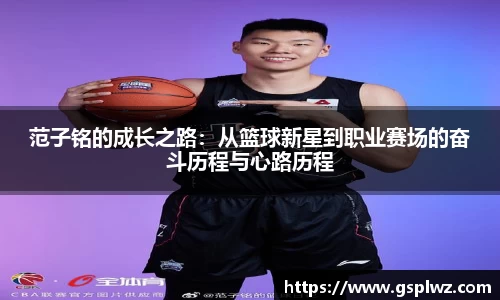 Bsports网页版