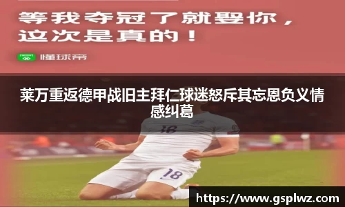 bsports官网入口