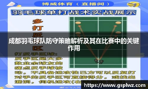 bsports官网入口