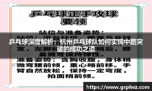 bsports登录入口