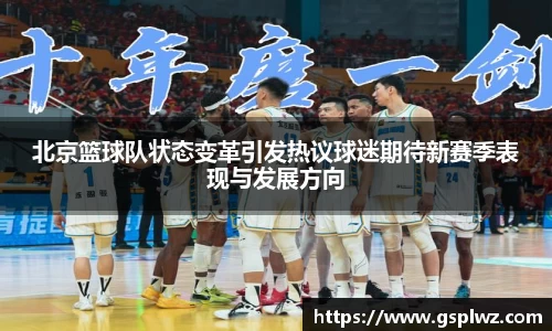 bsports官网入口