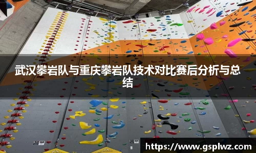 bsports登录入口